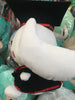 Graduation Sanrio Cinnamoroll Smile Plush