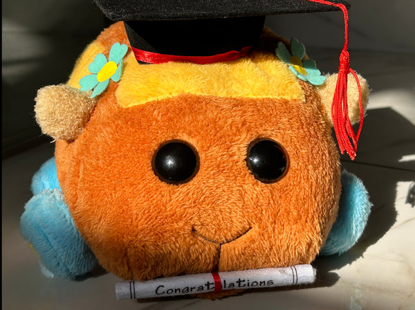 Graduation Pui Pui Molcar Choco