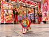 Shiba Inu Got Stuck Figure Keychain 6 Pieces Set (In-stock)