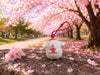 Sanrio and Friends Sakura Small Figure Keychain 5 Pieces Set (In-stock)