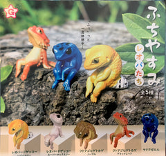 Edge sleepIng Frog Figure 5 Pieces Set (In-stock)