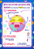 Bandai Proplica Special Memorize Creamy Mami Magical Compact Limited (Pre-order)