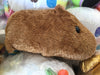Kapibara-San Long Fur Medium Plush (In-stock)