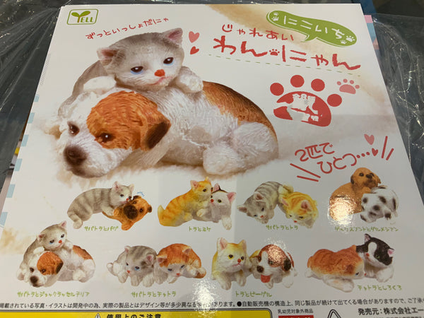 Dog and Cat Ceramic Figure 8 Pieces Set (In-stock)