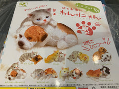 Dog and Cat Ceramic Figure 8 Pieces Set (In-stock)