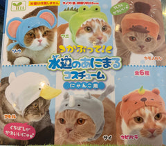 Animal Hats For Cats 6 Piece Set (In Stock)