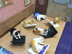 Cat and Laptop Figure Set 6 Pieces (In-stock)