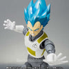 S.H.Figuarts Super Saiyam God SS Tamashii Limited (Pre-order)